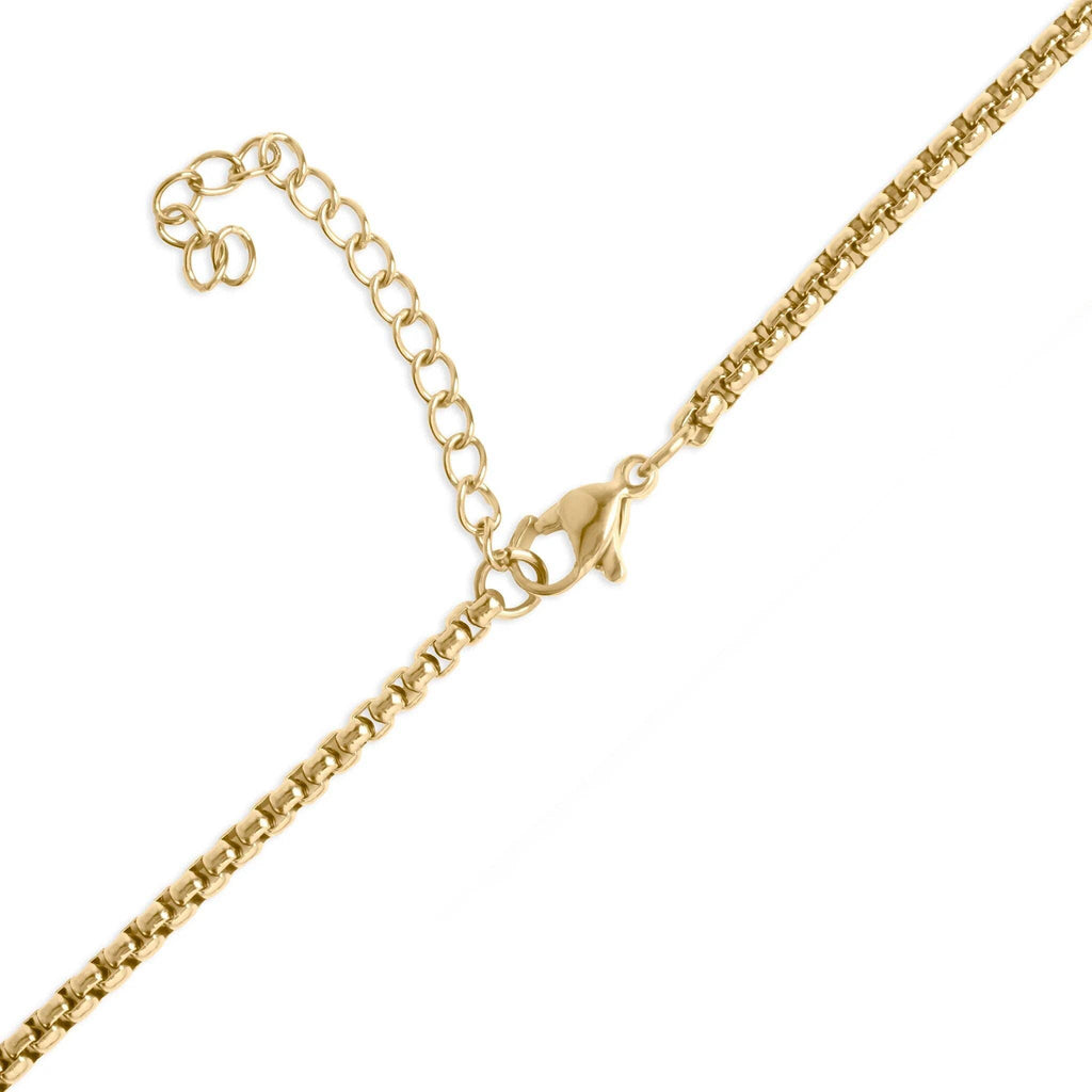 Gold and Steel Horse Shoe Carabiner Charm Holder Necklace
