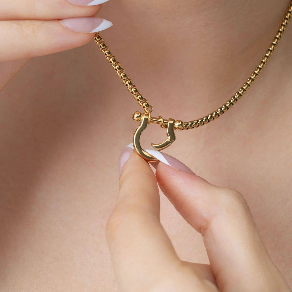 Gold and Steel Horse Shoe Carabiner Charm Holder Necklace